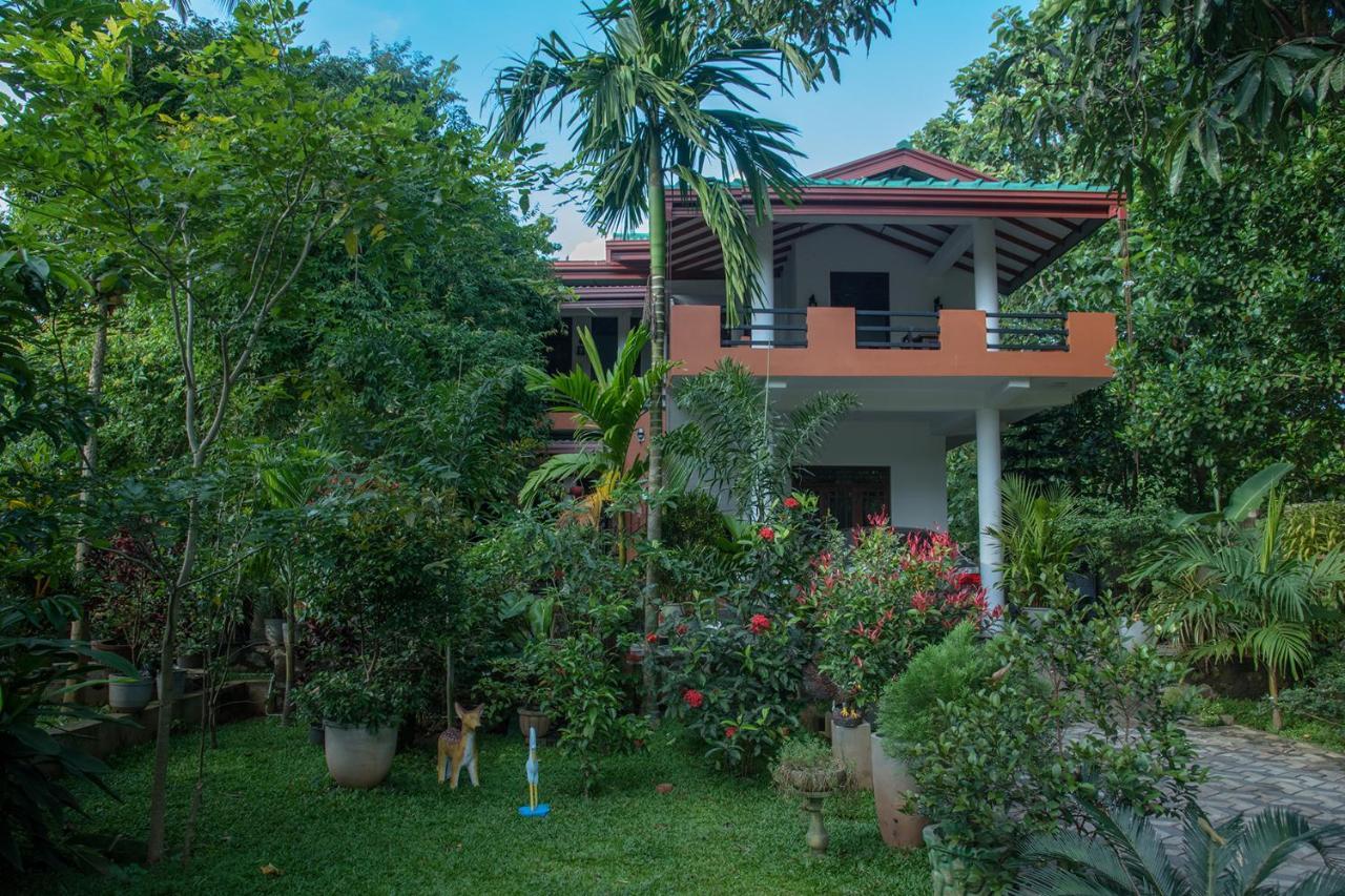 Sadee'S Place Dambulla Exterior foto